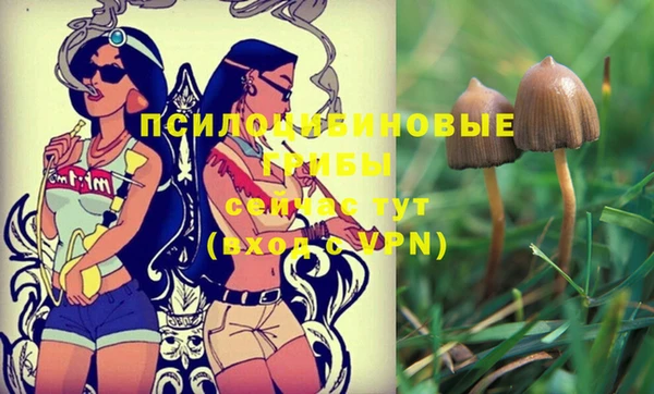 ПСИЛОЦИБИНОВЫЕ ГРИБЫ Баксан