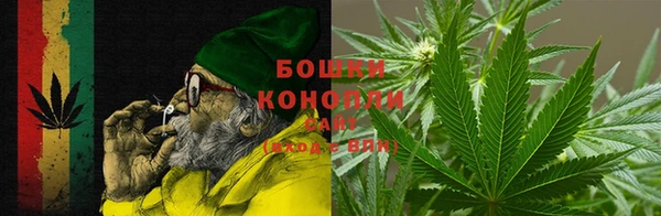 прущие грибы Нефтекумск